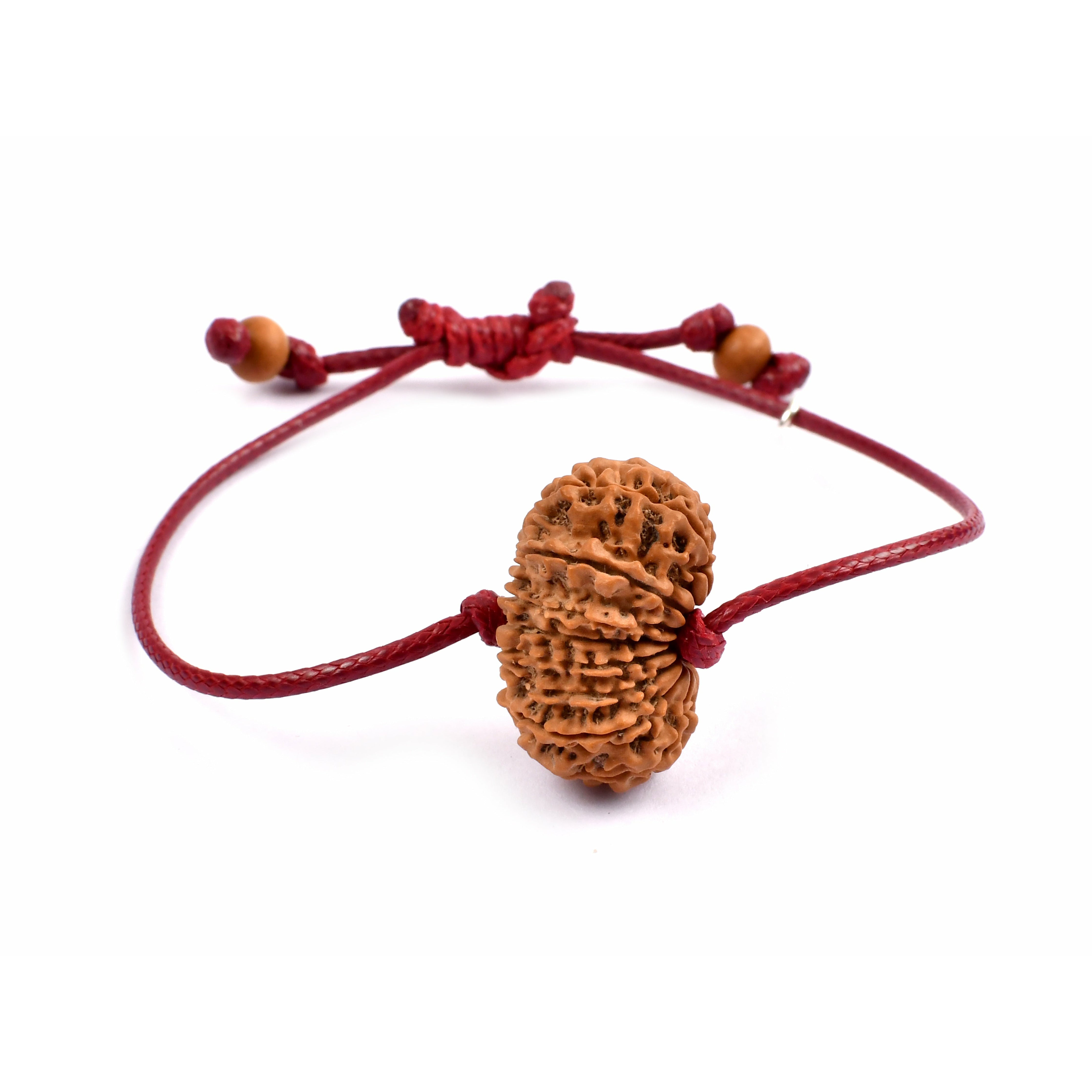 16-Augen-Rudraksha (Nepal)